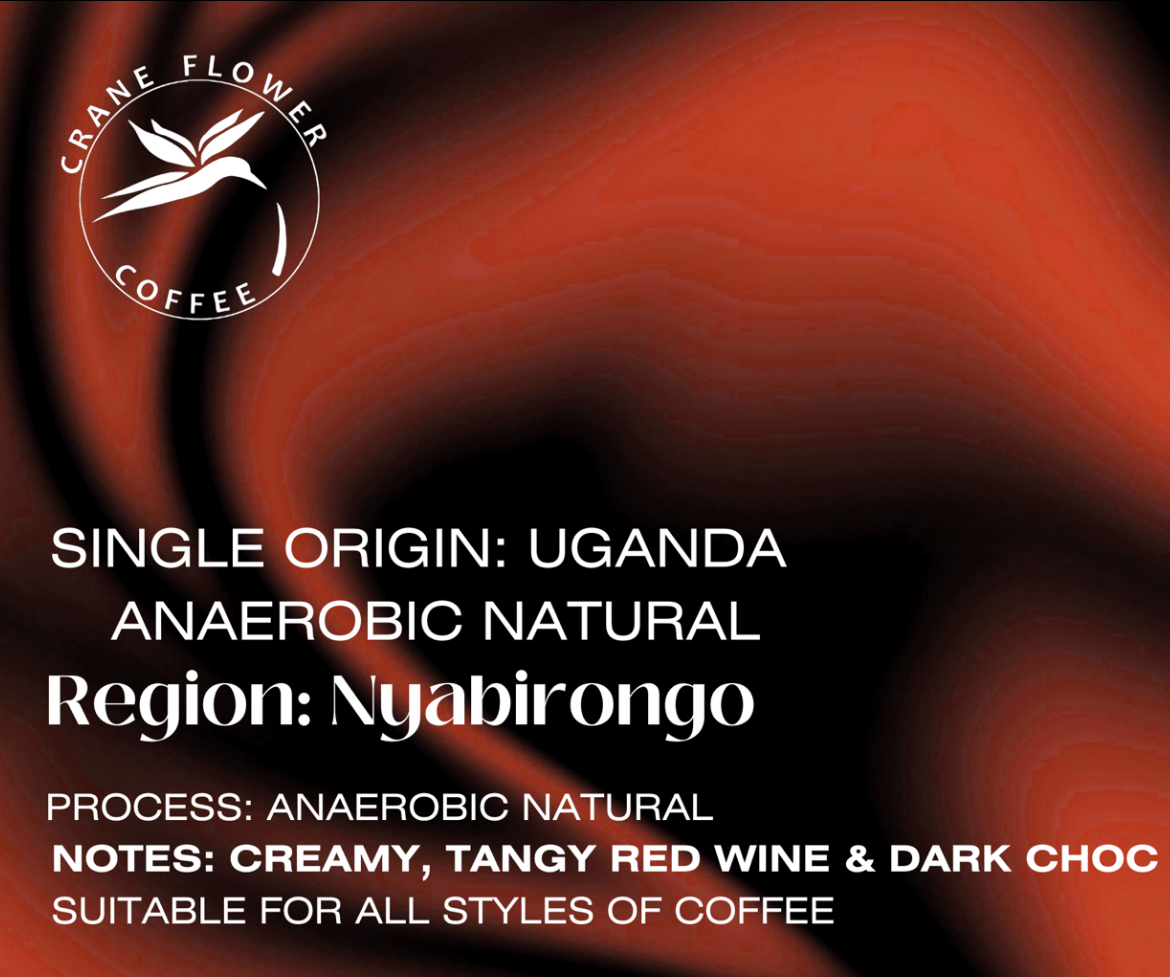 Uganda Nyabirongo Anaerobic Natural