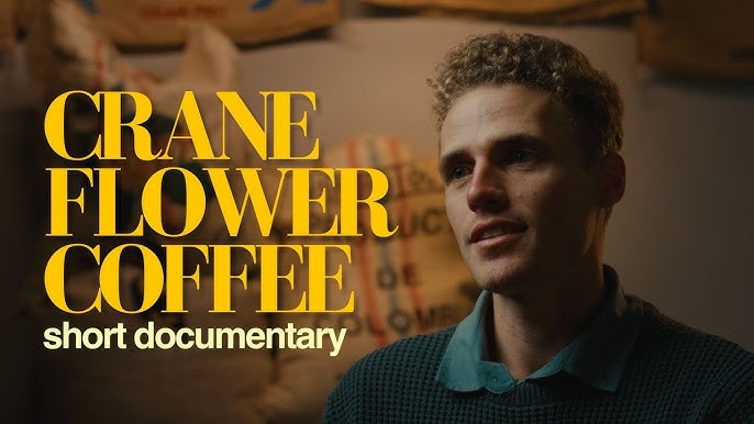 Short Documentary
